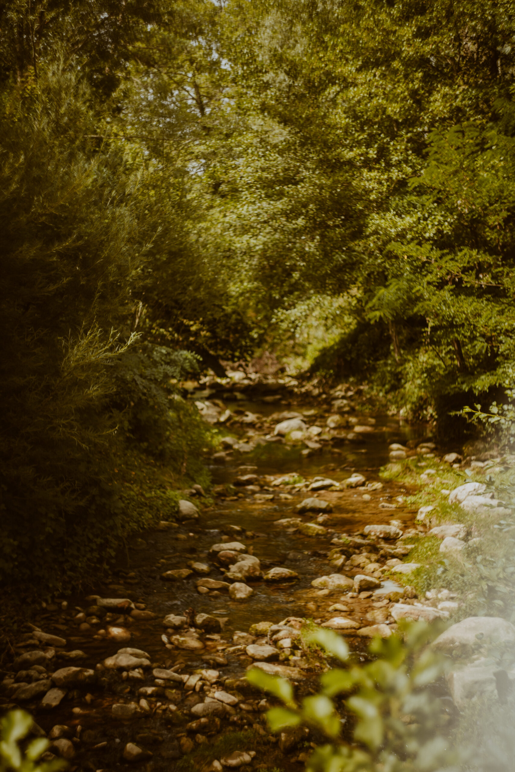 Sesión de fotos en la naturaleza, cascadas
