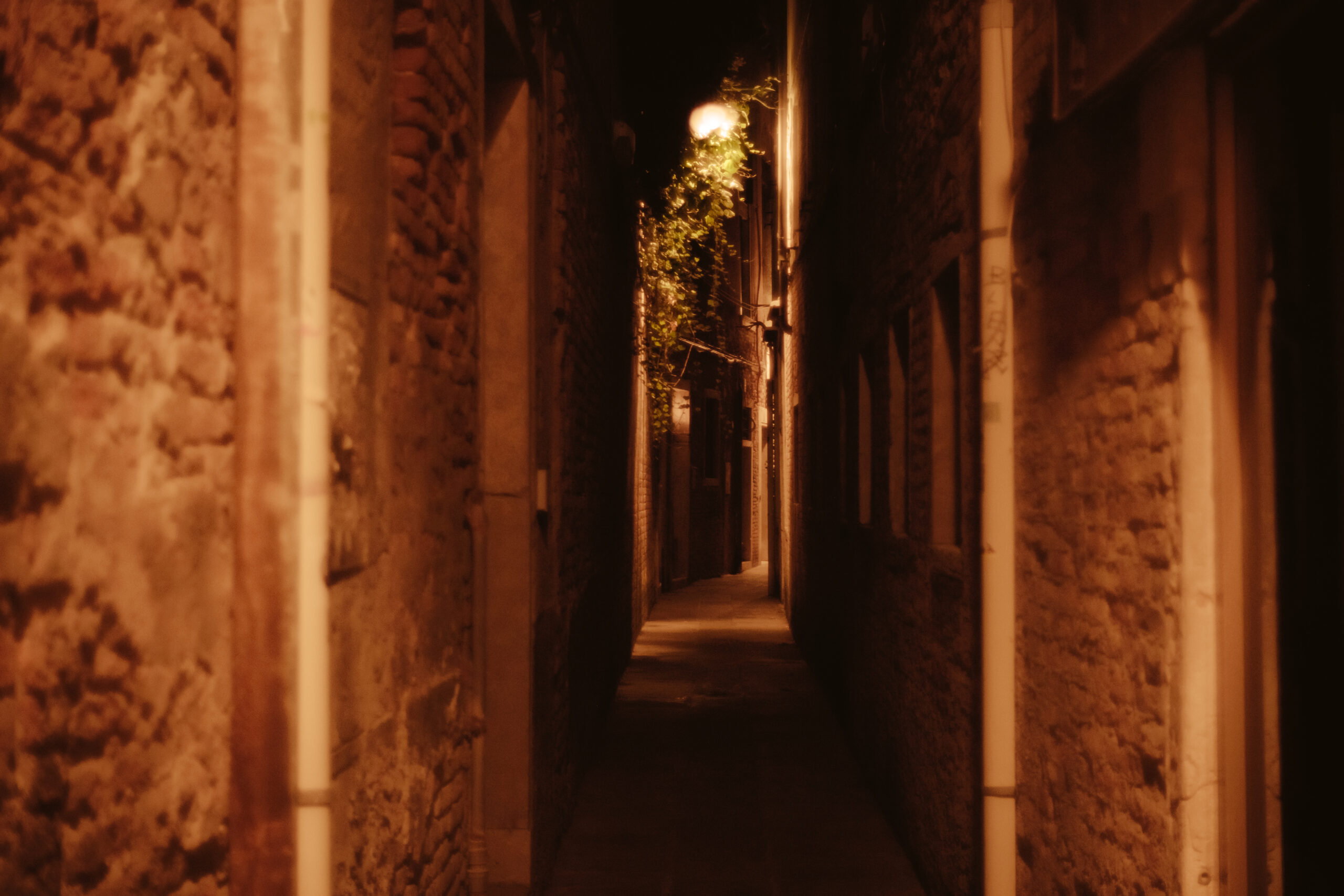 Fotografías de un viaje a Venecia