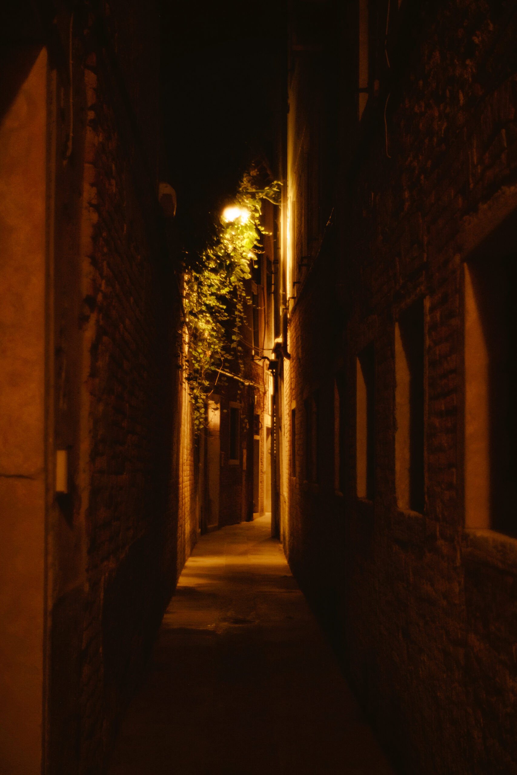 Fotografías de un viaje a Venecia