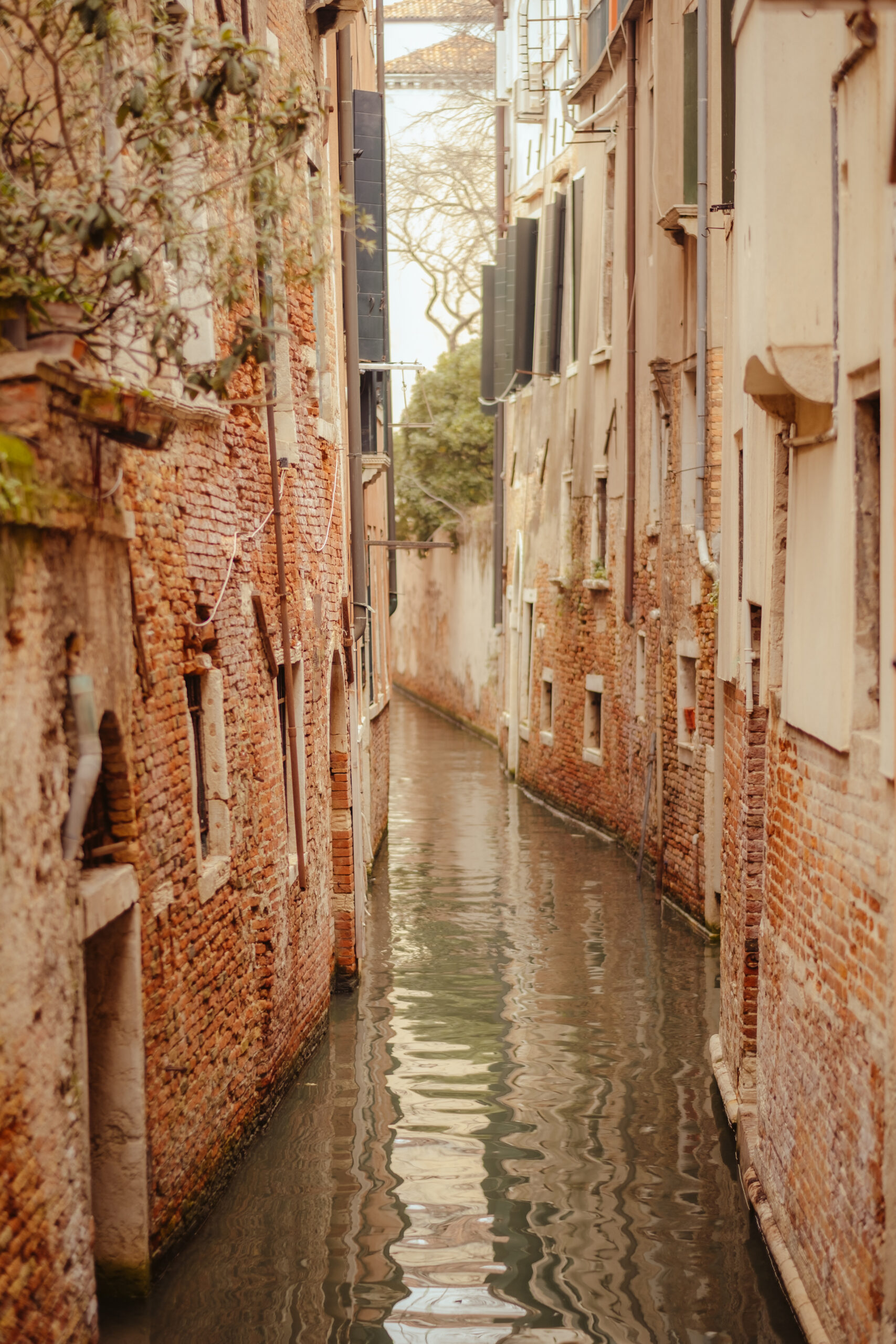 Fotografías de un viaje a Venecia