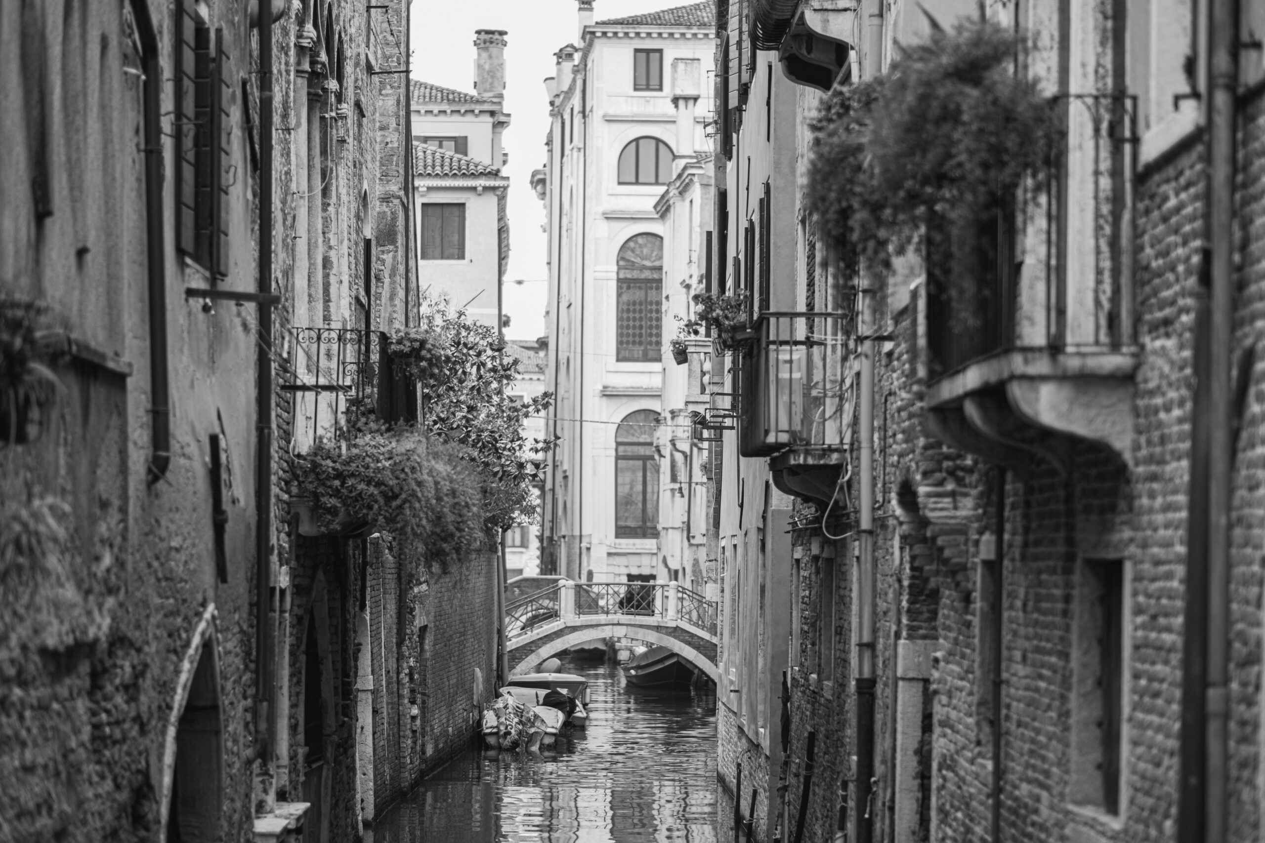 Fotografías de un viaje a Venecia