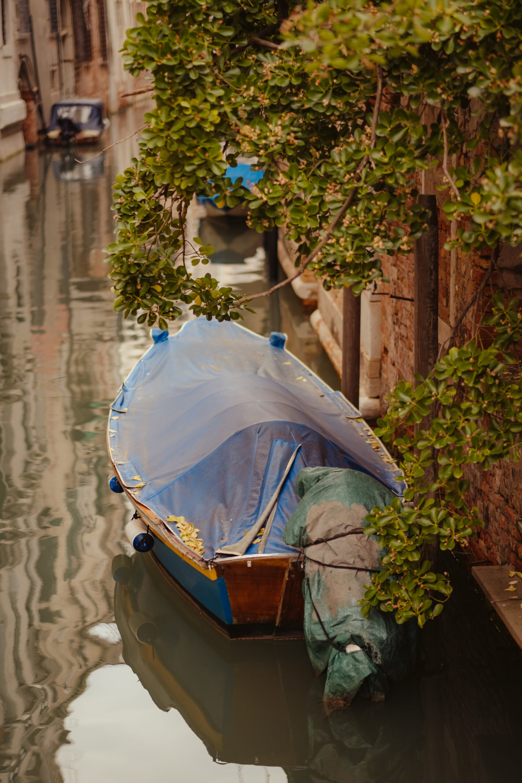 Fotografías de un viaje a Venecia