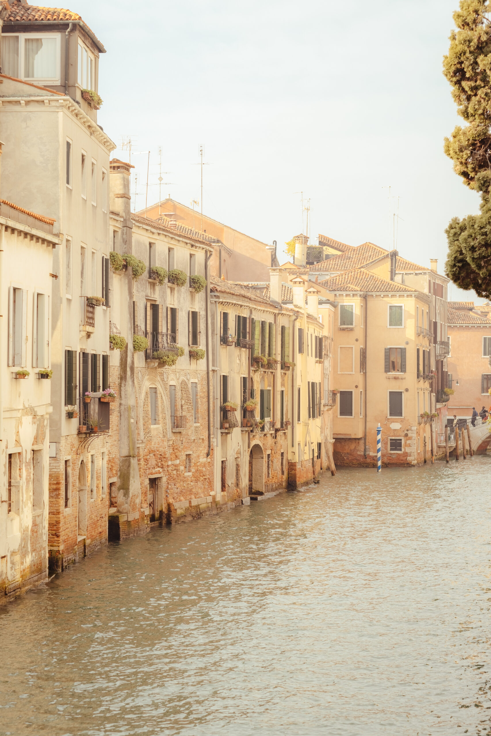 Fotografías de un viaje a Venecia