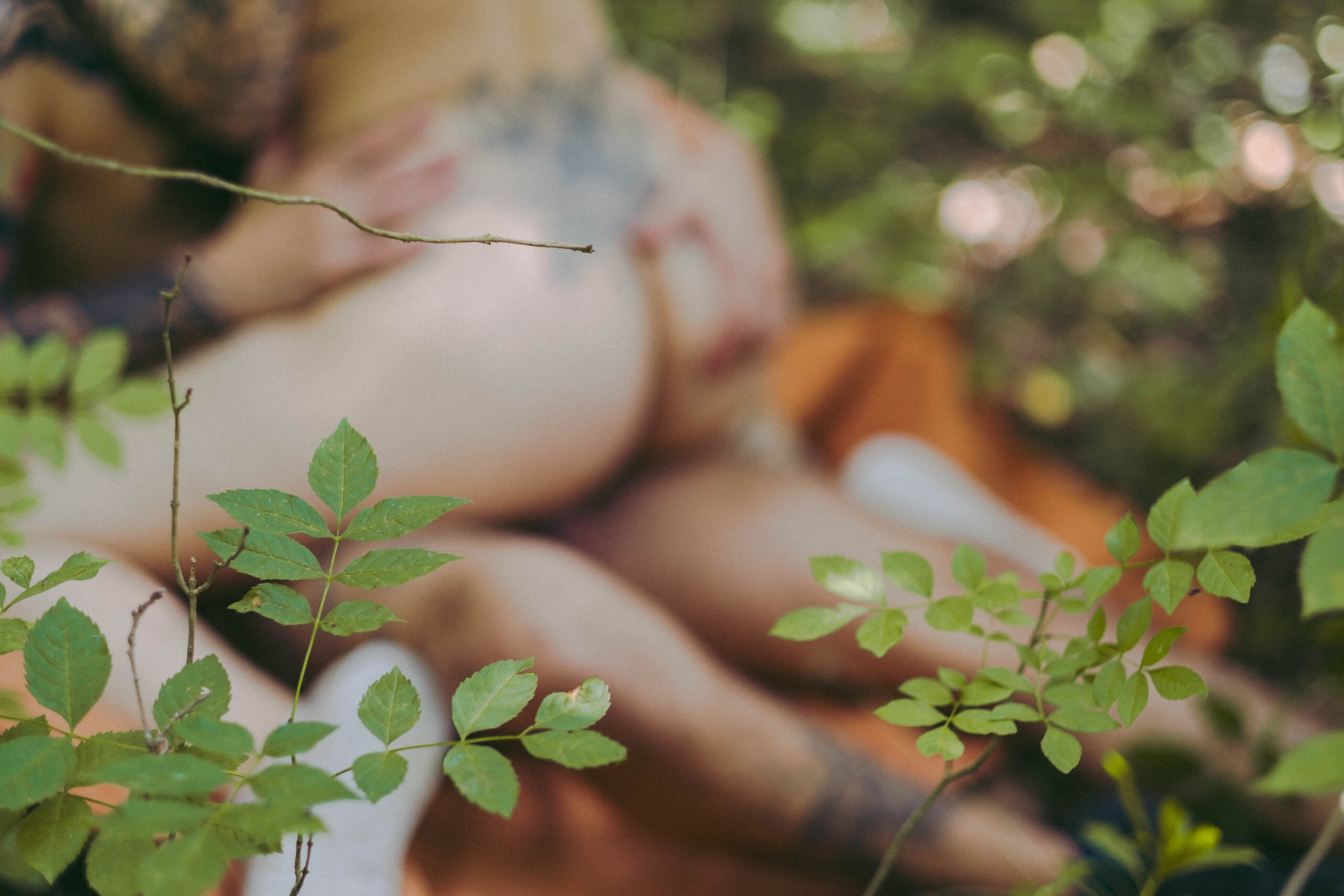 portada el bosque nos mira