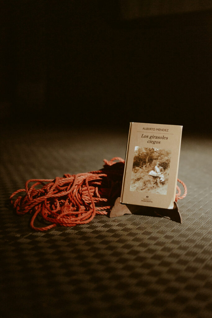 Photos during a shibari performance