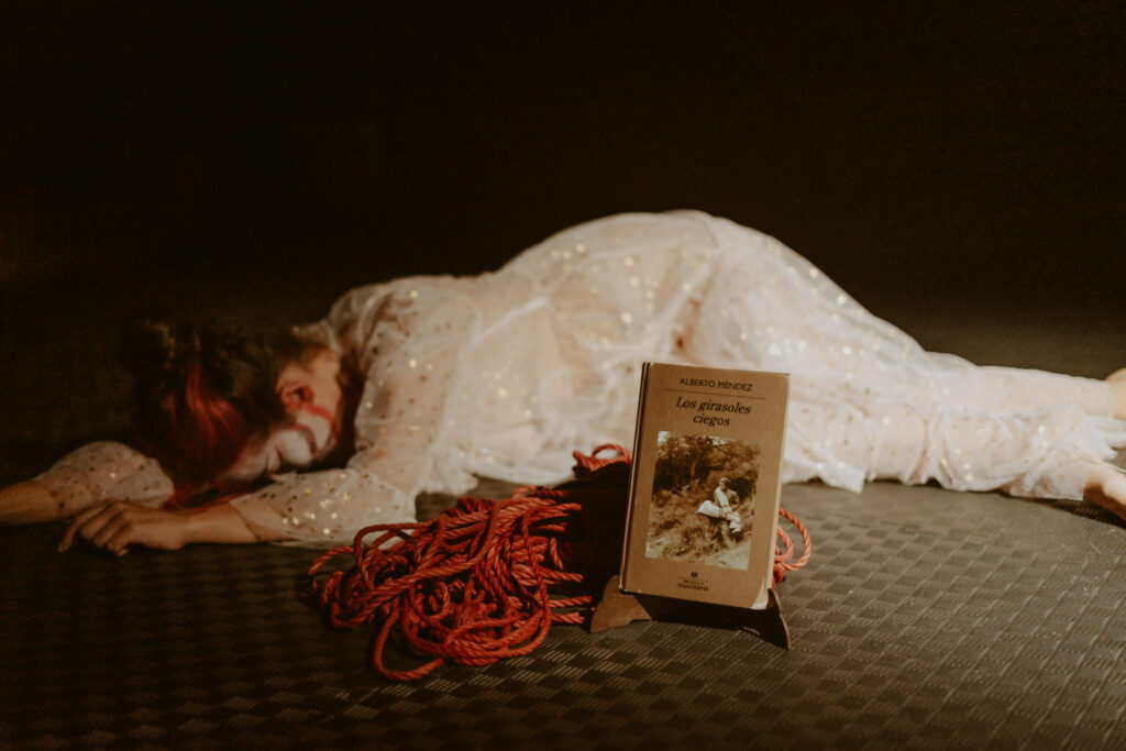 Photos during a shibari performance