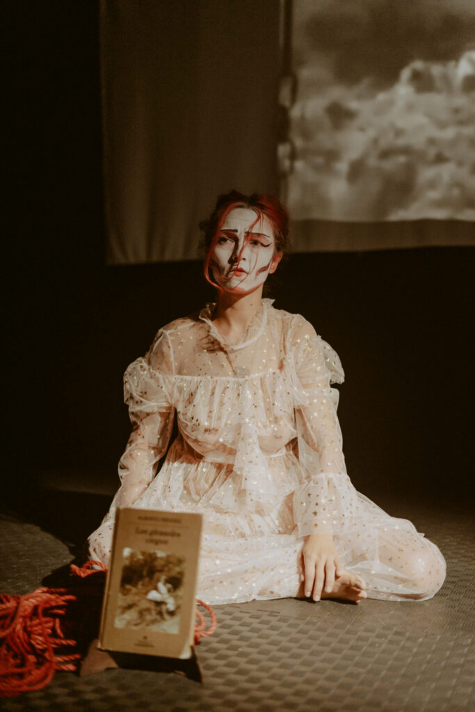 Photos during a shibari performance