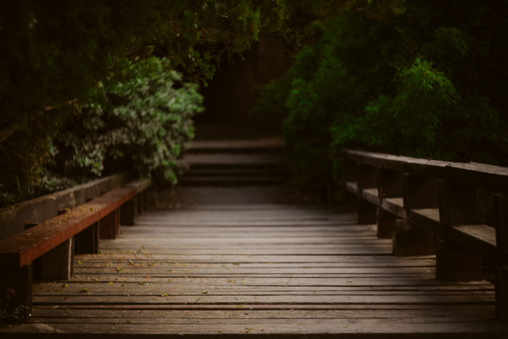 Sesión de fotos en lencería en exteriores