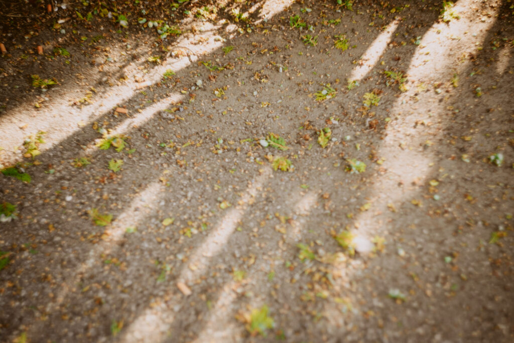 Sesión de fotos en lencería en exteriores