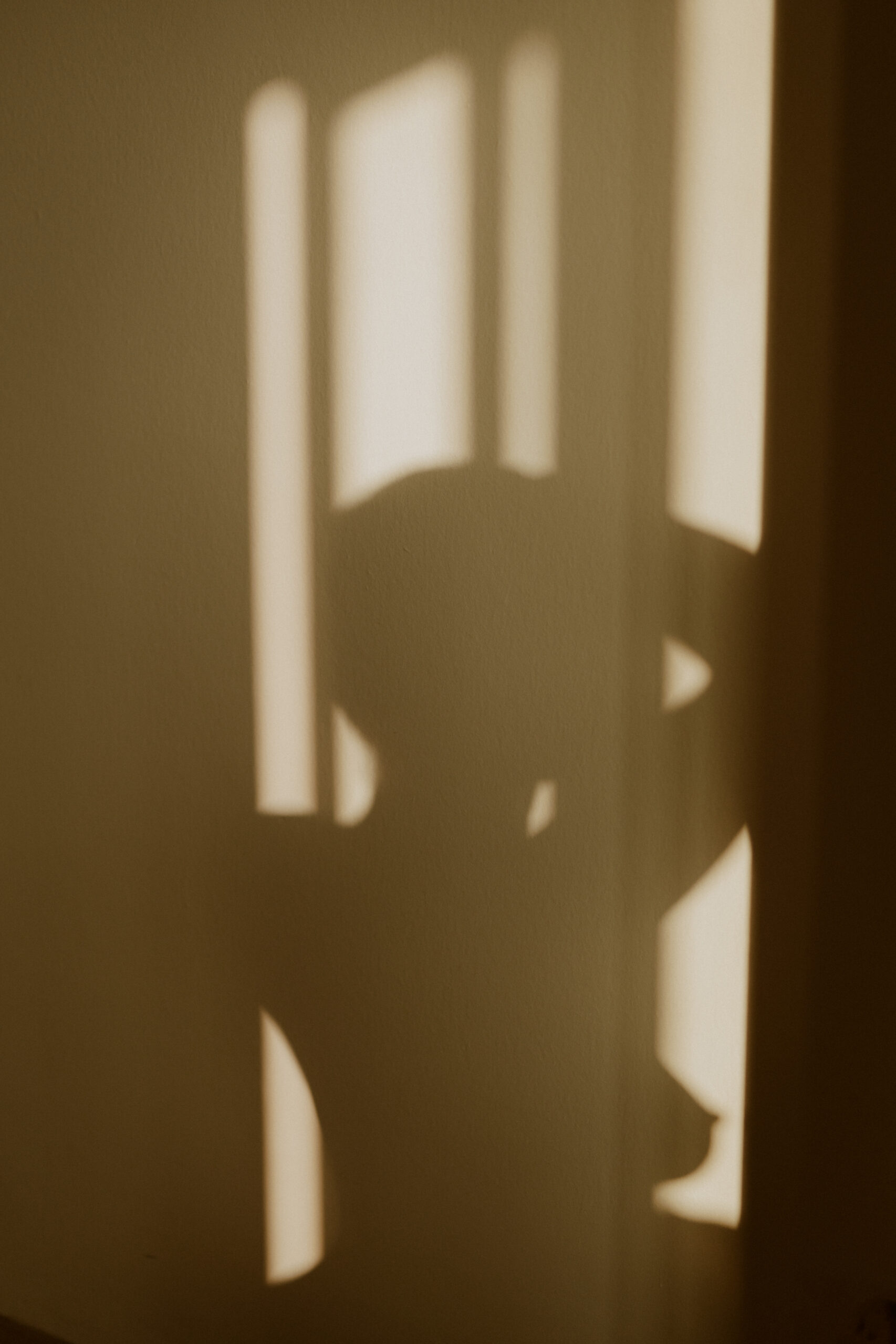 Self-portraits in an armchair with sunlight