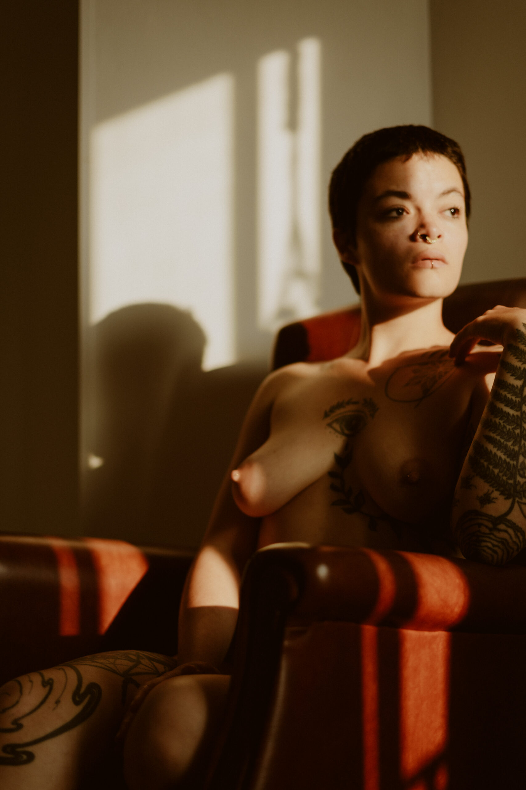 Self-portraits in an armchair with sunlight