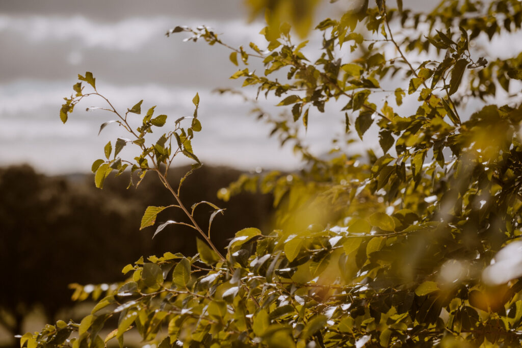 Self-portraits hotel Madrid