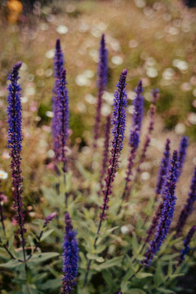 Outdoor photo session