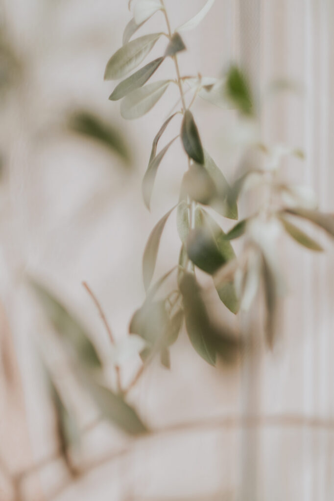 Lingerie photoshoot, boudoir
