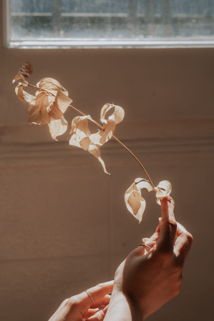 Lingerie photoshoot, boudoir