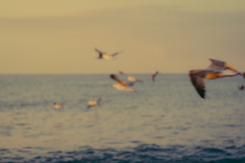 Sunrise photoshoot on the beach. Mindful photography workshop 