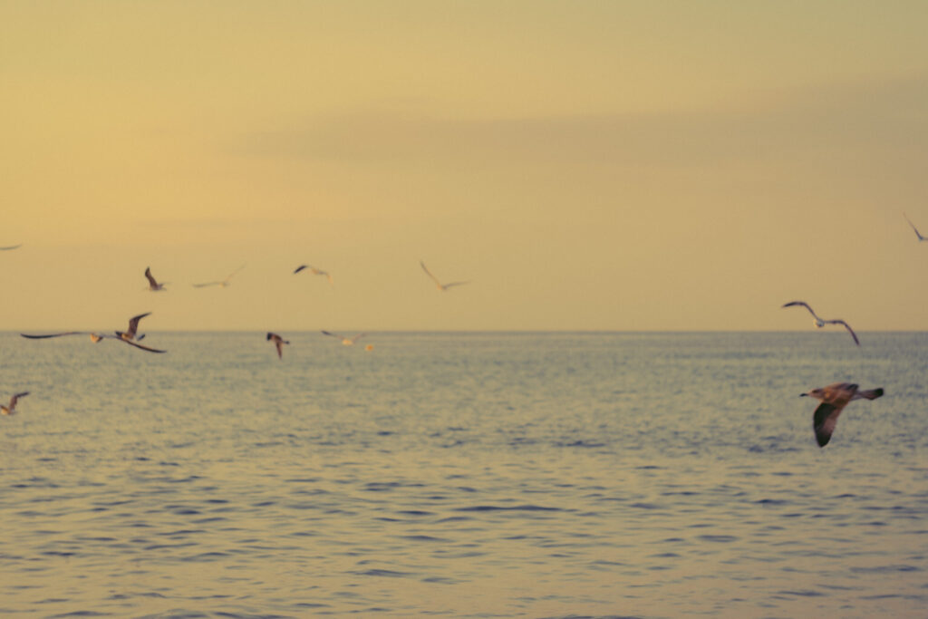 Sunrise photoshoot on the beach. Mindful photography workshop 