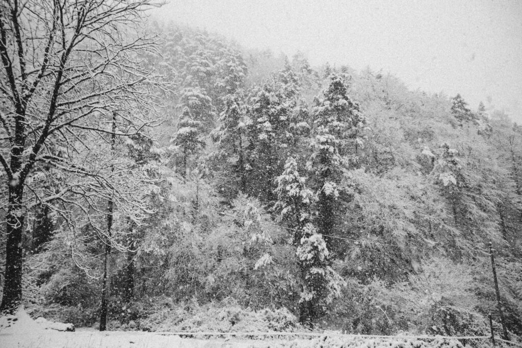 Viaje nieve