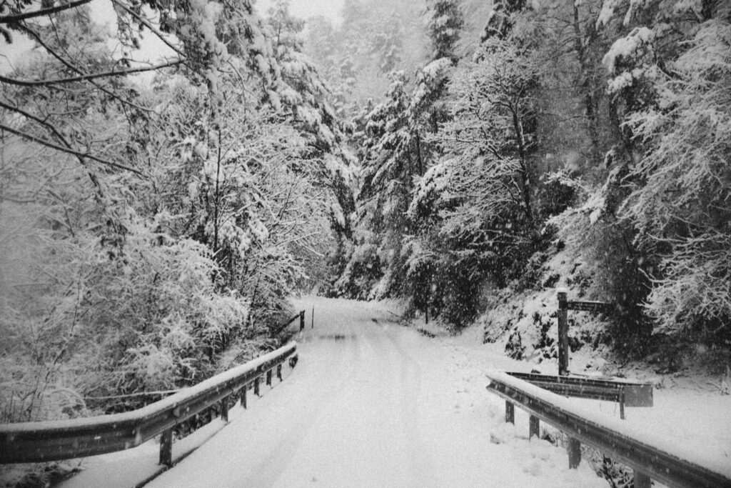 Viaje nieve