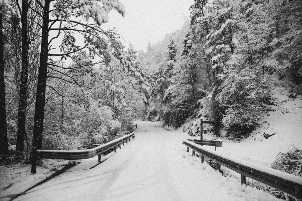 Viaje nieve