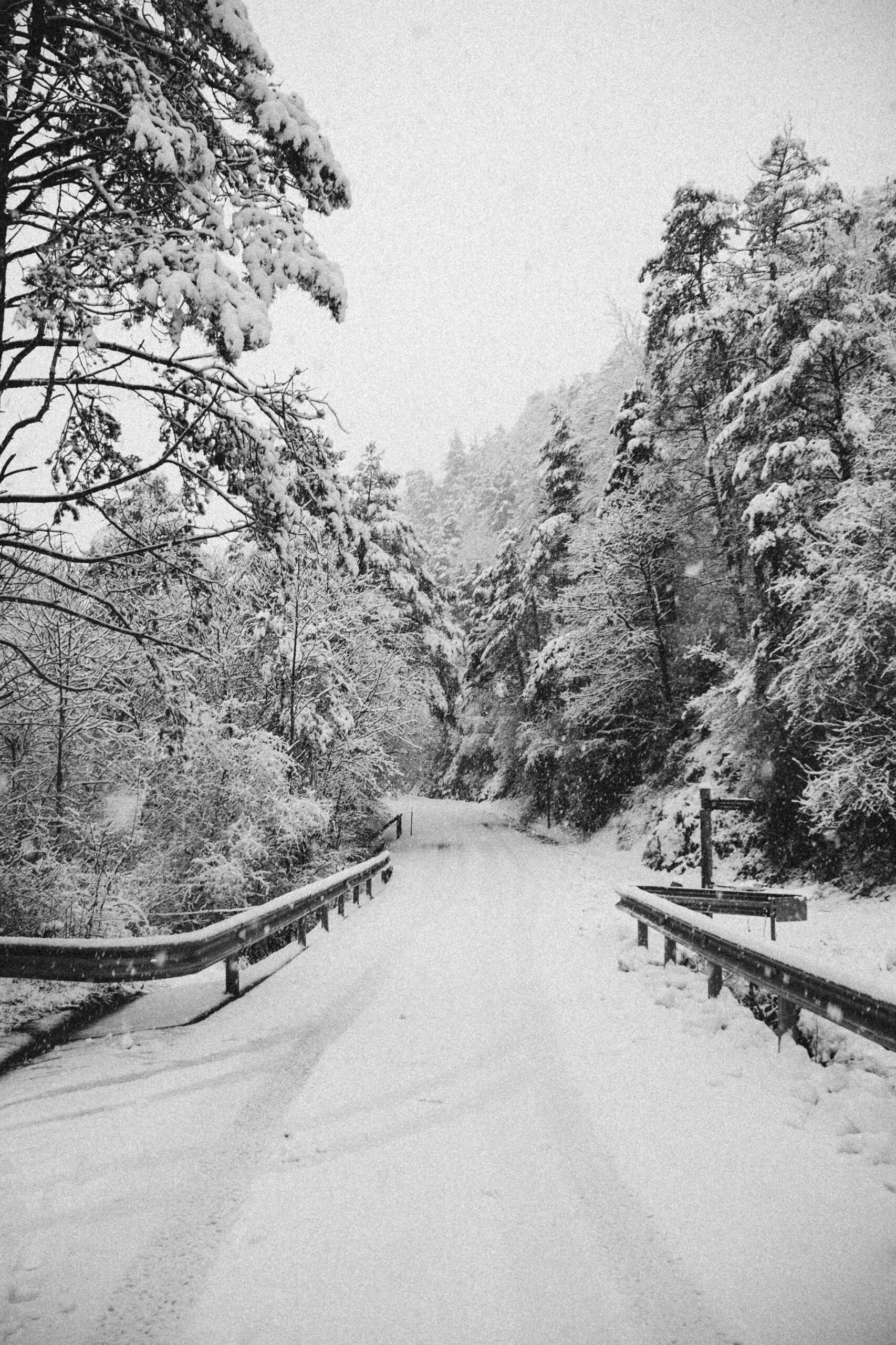 Viaje nieve