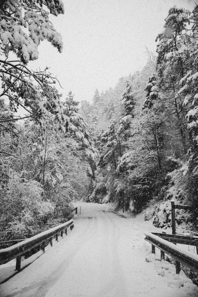 Viaje nieve