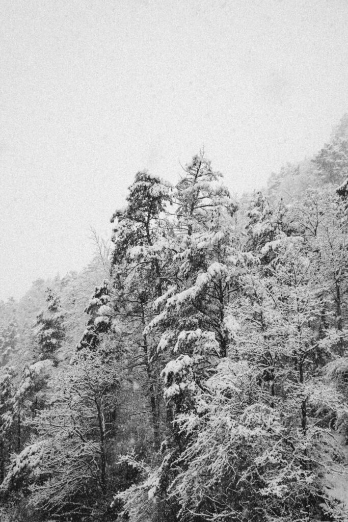 Viaje nieve