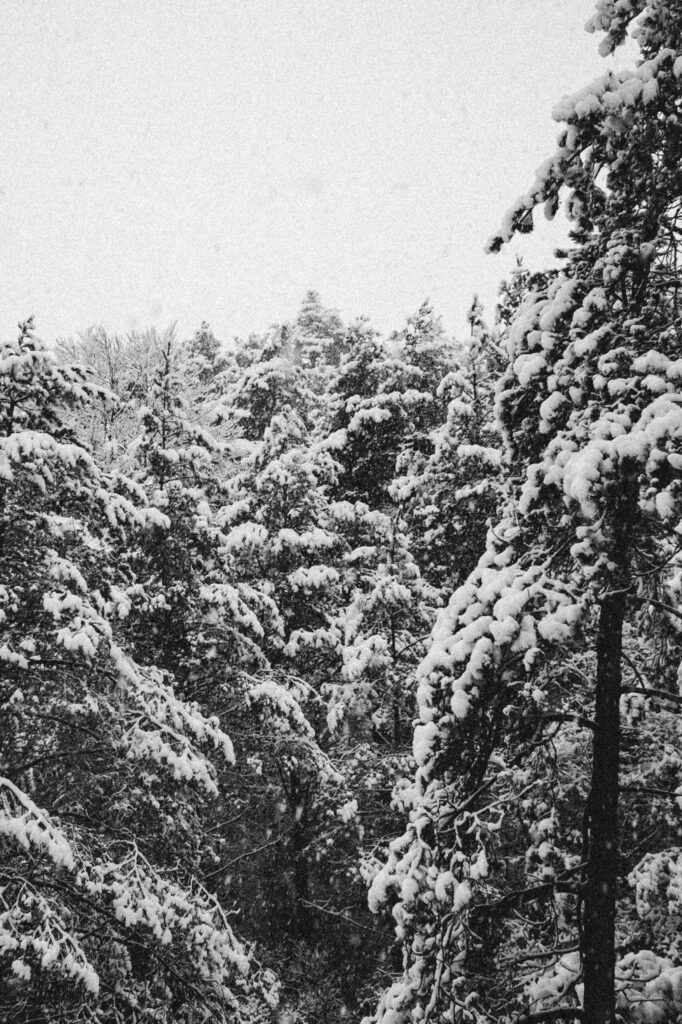 Viaje nieve