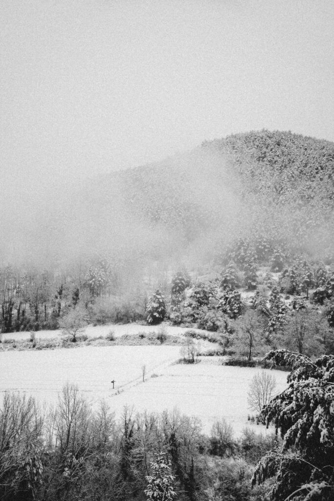 Viaje nieve