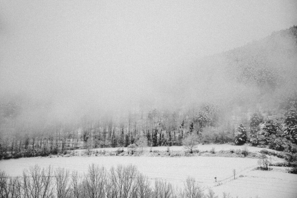 Viaje nieve