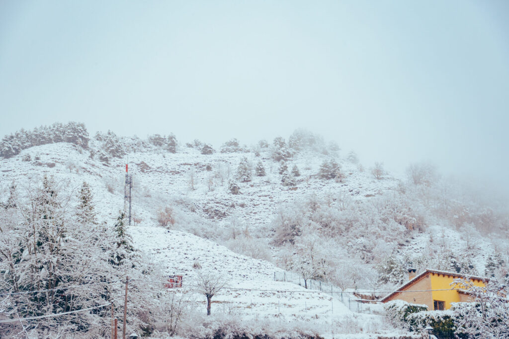 Viaje nieve