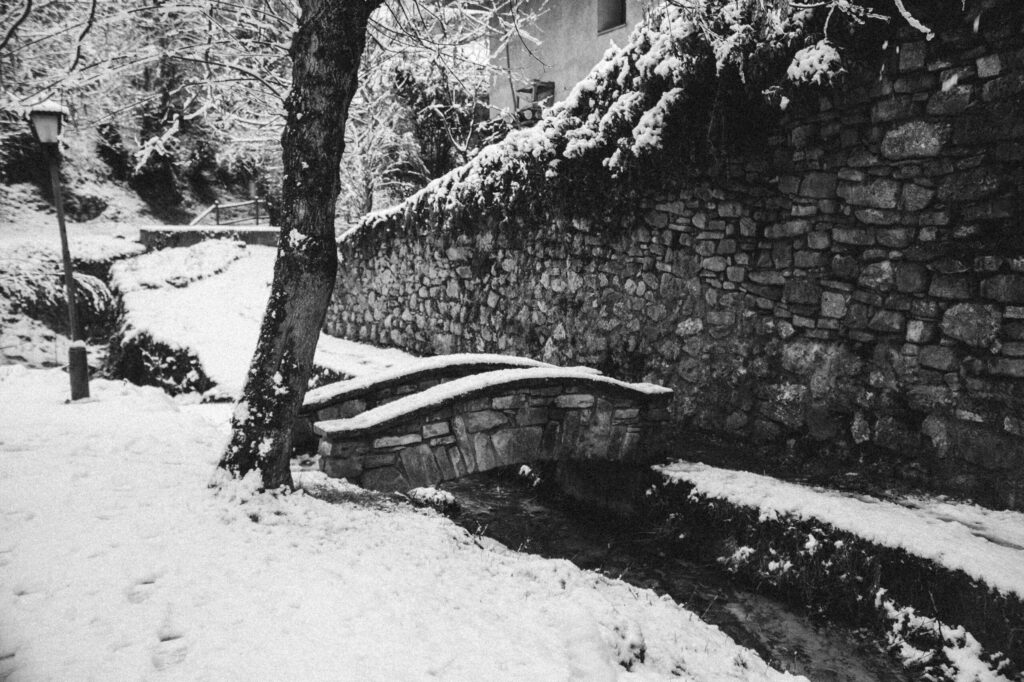 Viaje nieve