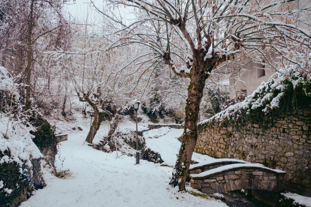 Viaje nieve