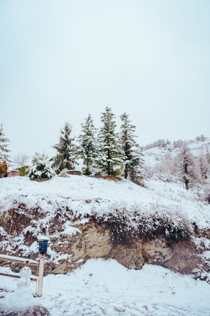 Viaje nieve