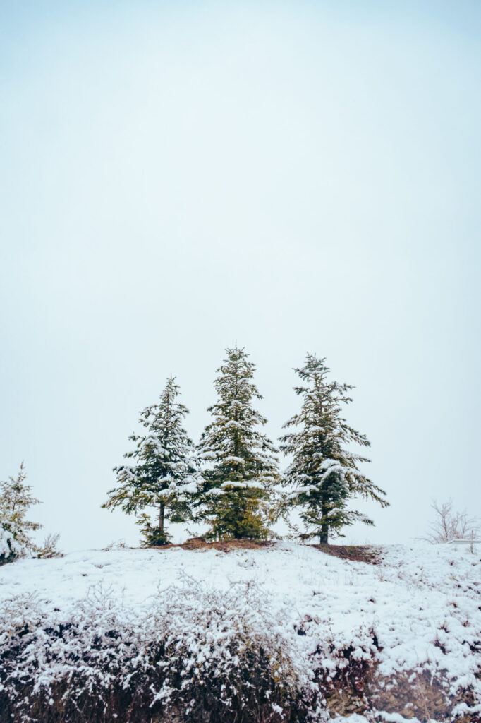 Viaje nieve