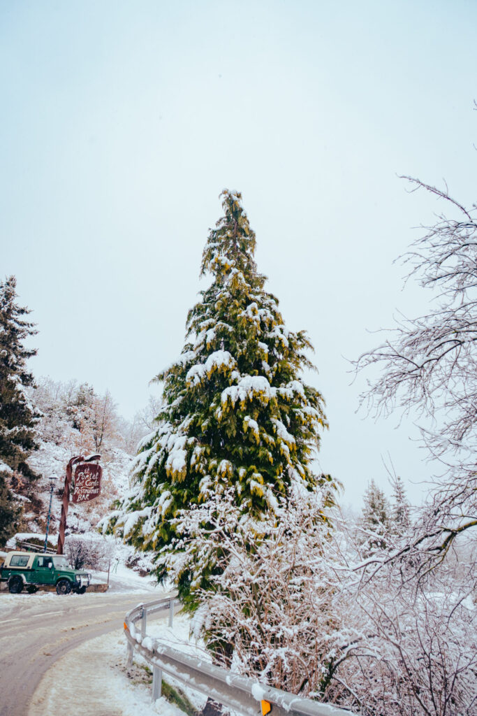 Viaje nieve