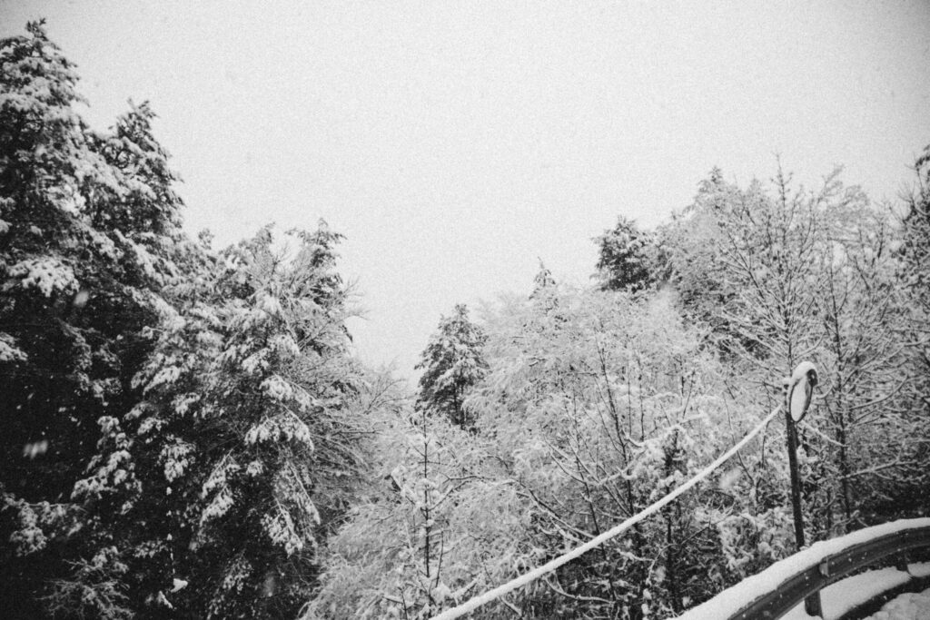 Viaje nieve