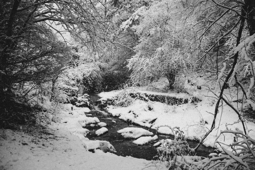 Viaje nieve
