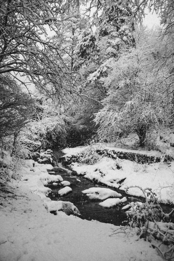 Viaje nieve